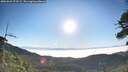 ./images/calvert/fitz-hugh-hecate/20260621/fitz-hugh-hecate20260621_073501M.jpg