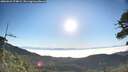 ./images/calvert/fitz-hugh-hecate/20260621/fitz-hugh-hecate20260621_074002M.jpg