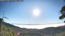 ./images/calvert/fitz-hugh-hecate/20260621/fitz-hugh-hecate20260621_074501M.jpg