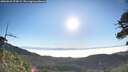 ./images/calvert/fitz-hugh-hecate/20260621/fitz-hugh-hecate20260621_075001M.jpg