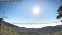./images/calvert/fitz-hugh-hecate/20260621/fitz-hugh-hecate20260621_080001M.jpg