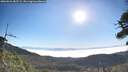 ./images/calvert/fitz-hugh-hecate/20260621/fitz-hugh-hecate20260621_082502M.jpg