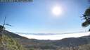 ./images/calvert/fitz-hugh-hecate/20260621/fitz-hugh-hecate20260621_083001M.jpg