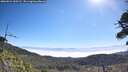 ./images/calvert/fitz-hugh-hecate/20260621/fitz-hugh-hecate20260621_100501M.jpg