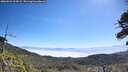 ./images/calvert/fitz-hugh-hecate/20260621/fitz-hugh-hecate20260621_105001M.jpg
