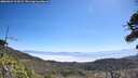 ./images/calvert/fitz-hugh-hecate/20260621/fitz-hugh-hecate20260621_111002M.jpg