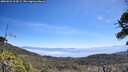 ./images/calvert/fitz-hugh-hecate/20260621/fitz-hugh-hecate20260621_114501M.jpg
