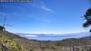 ./images/calvert/fitz-hugh-hecate/20260621/fitz-hugh-hecate20260621_125002M.jpg