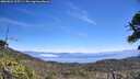 ./images/calvert/fitz-hugh-hecate/20260621/fitz-hugh-hecate20260621_125501M.jpg