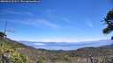 ./images/calvert/fitz-hugh-hecate/20260621/fitz-hugh-hecate20260621_131001M.jpg