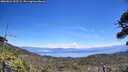 ./images/calvert/fitz-hugh-hecate/20260621/fitz-hugh-hecate20260621_133501M.jpg