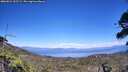 ./images/calvert/fitz-hugh-hecate/20260621/fitz-hugh-hecate20260621_152501M.jpg