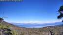 ./images/calvert/fitz-hugh-hecate/20260621/fitz-hugh-hecate20260621_155501M.jpg