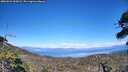 ./images/calvert/fitz-hugh-hecate/20260621/fitz-hugh-hecate20260621_160001M.jpg
