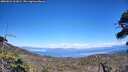 ./images/calvert/fitz-hugh-hecate/20260621/fitz-hugh-hecate20260621_161002M.jpg