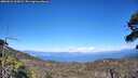 ./images/calvert/fitz-hugh-hecate/20260621/fitz-hugh-hecate20260621_165001M.jpg
