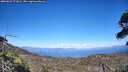 ./images/calvert/fitz-hugh-hecate/20260621/fitz-hugh-hecate20260621_171001M.jpg