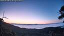 ./images/calvert/fitz-hugh-hecate/20260622/fitz-hugh-hecate20260622_044001M.jpg