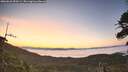 ./images/calvert/fitz-hugh-hecate/20260622/fitz-hugh-hecate20260622_050501M.jpg