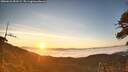 ./images/calvert/fitz-hugh-hecate/20260622/fitz-hugh-hecate20260622_053501M.jpg