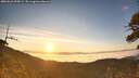 ./images/calvert/fitz-hugh-hecate/20260622/fitz-hugh-hecate20260622_055001M.jpg