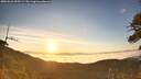 ./images/calvert/fitz-hugh-hecate/20260622/fitz-hugh-hecate20260622_055501M.jpg