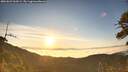 ./images/calvert/fitz-hugh-hecate/20260622/fitz-hugh-hecate20260622_060501M.jpg