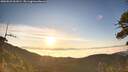 ./images/calvert/fitz-hugh-hecate/20260622/fitz-hugh-hecate20260622_061001M.jpg