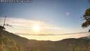 ./images/calvert/fitz-hugh-hecate/20260622/fitz-hugh-hecate20260622_061501M.jpg