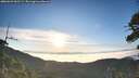 ./images/calvert/fitz-hugh-hecate/20260622/fitz-hugh-hecate20260622_062501M.jpg
