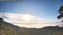 ./images/calvert/fitz-hugh-hecate/20260622/fitz-hugh-hecate20260622_063001M.jpg