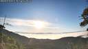 ./images/calvert/fitz-hugh-hecate/20260622/fitz-hugh-hecate20260622_063502M.jpg