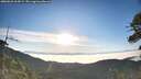 ./images/calvert/fitz-hugh-hecate/20260622/fitz-hugh-hecate20260622_064501M.jpg
