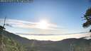 ./images/calvert/fitz-hugh-hecate/20260622/fitz-hugh-hecate20260622_065501M.jpg