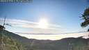 ./images/calvert/fitz-hugh-hecate/20260622/fitz-hugh-hecate20260622_070001M.jpg