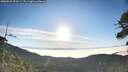 ./images/calvert/fitz-hugh-hecate/20260622/fitz-hugh-hecate20260622_070501M.jpg