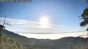 ./images/calvert/fitz-hugh-hecate/20260622/fitz-hugh-hecate20260622_071001M.jpg