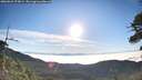 ./images/calvert/fitz-hugh-hecate/20260622/fitz-hugh-hecate20260622_073001M.jpg