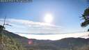 ./images/calvert/fitz-hugh-hecate/20260622/fitz-hugh-hecate20260622_073501M.jpg