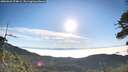 ./images/calvert/fitz-hugh-hecate/20260622/fitz-hugh-hecate20260622_074001M.jpg