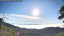 ./images/calvert/fitz-hugh-hecate/20260622/fitz-hugh-hecate20260622_074501M.jpg