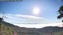 ./images/calvert/fitz-hugh-hecate/20260622/fitz-hugh-hecate20260622_075501M.jpg