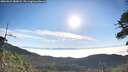 ./images/calvert/fitz-hugh-hecate/20260622/fitz-hugh-hecate20260622_080002M.jpg