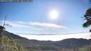 ./images/calvert/fitz-hugh-hecate/20260622/fitz-hugh-hecate20260622_080501M.jpg