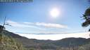 ./images/calvert/fitz-hugh-hecate/20260622/fitz-hugh-hecate20260622_081502M.jpg