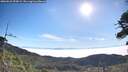 ./images/calvert/fitz-hugh-hecate/20260622/fitz-hugh-hecate20260622_090002M.jpg