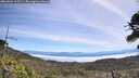 ./images/calvert/fitz-hugh-hecate/20260622/fitz-hugh-hecate20260622_115501M.jpg