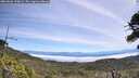 ./images/calvert/fitz-hugh-hecate/20260622/fitz-hugh-hecate20260622_120001M.jpg