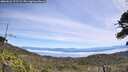 ./images/calvert/fitz-hugh-hecate/20260622/fitz-hugh-hecate20260622_122502M.jpg