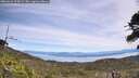 ./images/calvert/fitz-hugh-hecate/20260622/fitz-hugh-hecate20260622_125002M.jpg